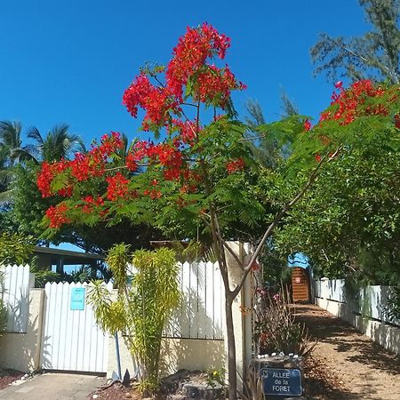 Villa La perle rare - Réunion La Saline Le Bains Esterno foto